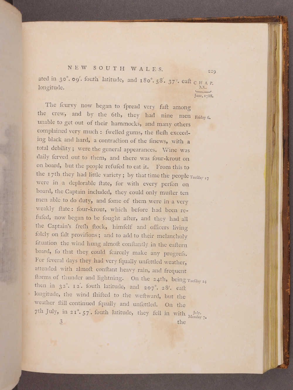 Page 229